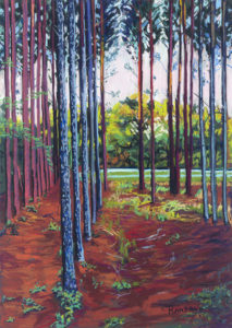 Southern tree farm