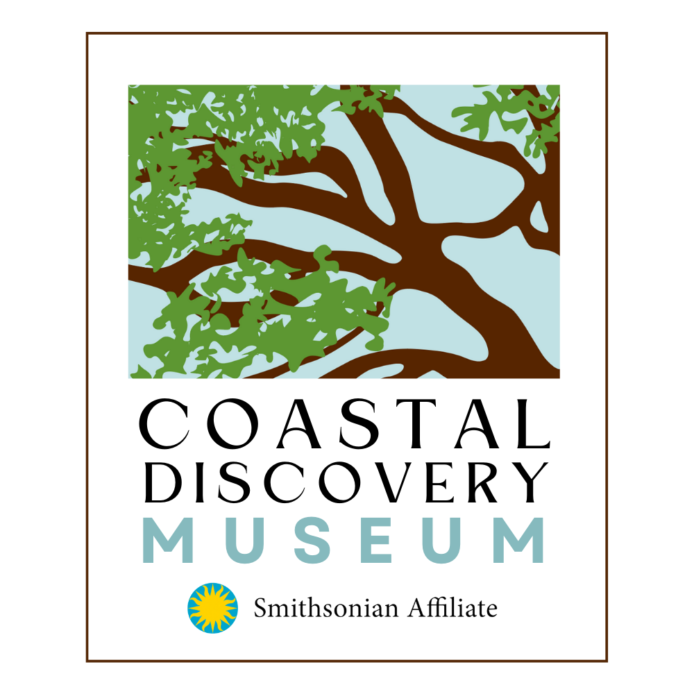 cdm logo
