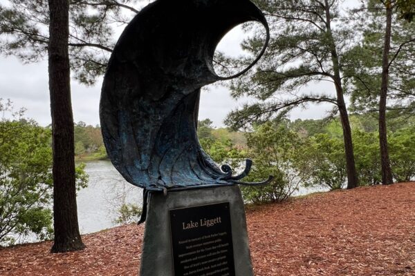 Corrina Sephora - Jarvis Creek Park