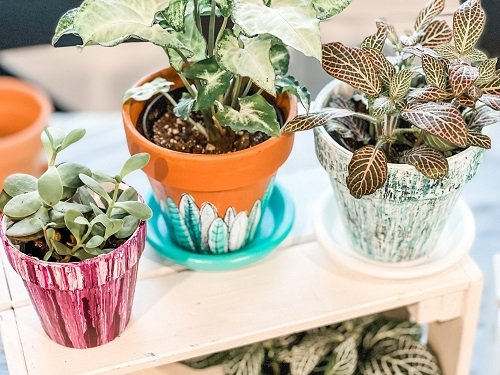 Paint, Pots