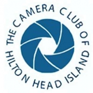 Camera Club Of Hilton Head 